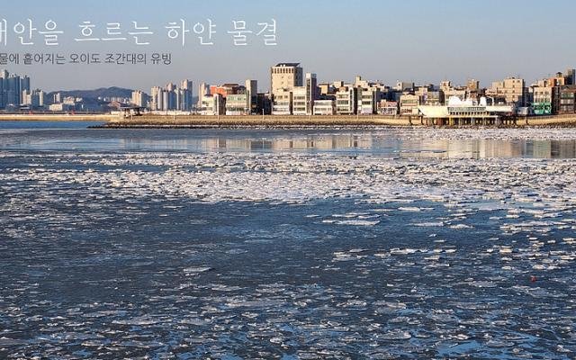 얼어붙은 바다, 떠도는 유빙 (오...