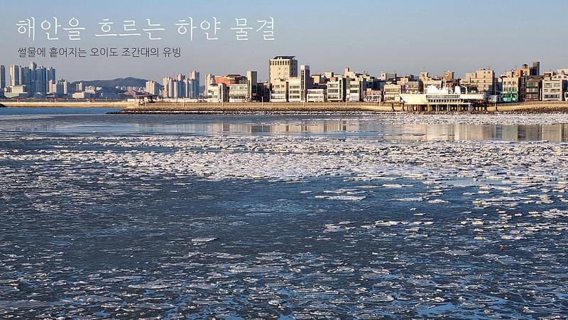 얼어붙은 바다, 떠도는 유빙 (오이도 연안 갯벌의 유빙)