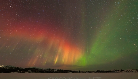 옐로나이프 오로라 관...